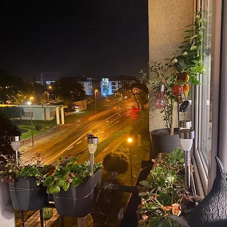 Fenix Apartament *